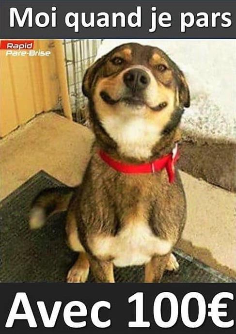 chien souri.jpg